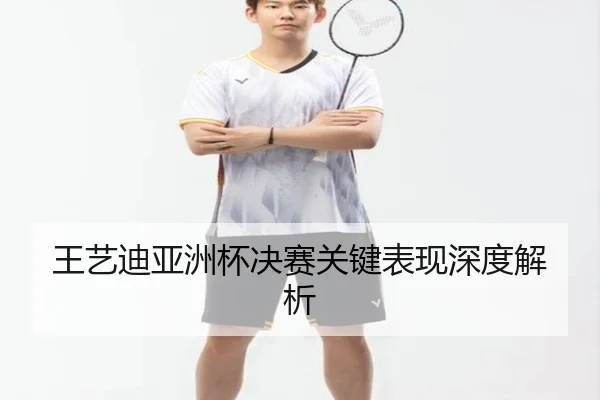 王艺迪亚洲杯决赛关键表现深度解析